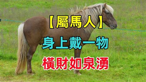 馬 取名|生肖姓名學.....屬馬的人：適合與不適合的字